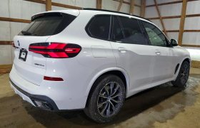 BMW X5 XDRIVE50E, 2024 рік, пробіг 32 600 км, Гібрид (PHEV) — фото 4
