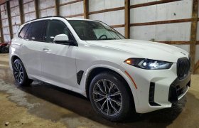 BMW X5 XDRIVE50E, 2024 рік, пробіг 32 600 км, Гібрид (PHEV) — фото 5