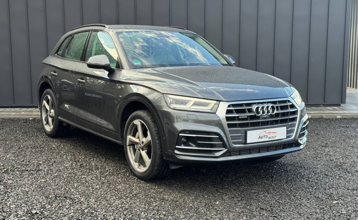 Audi Q5 S-line Quattro 50TDI, 2018 рік, пробіг 174 000 км, Дизель — фото 3 з 30